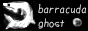 Barracuda Ghost
