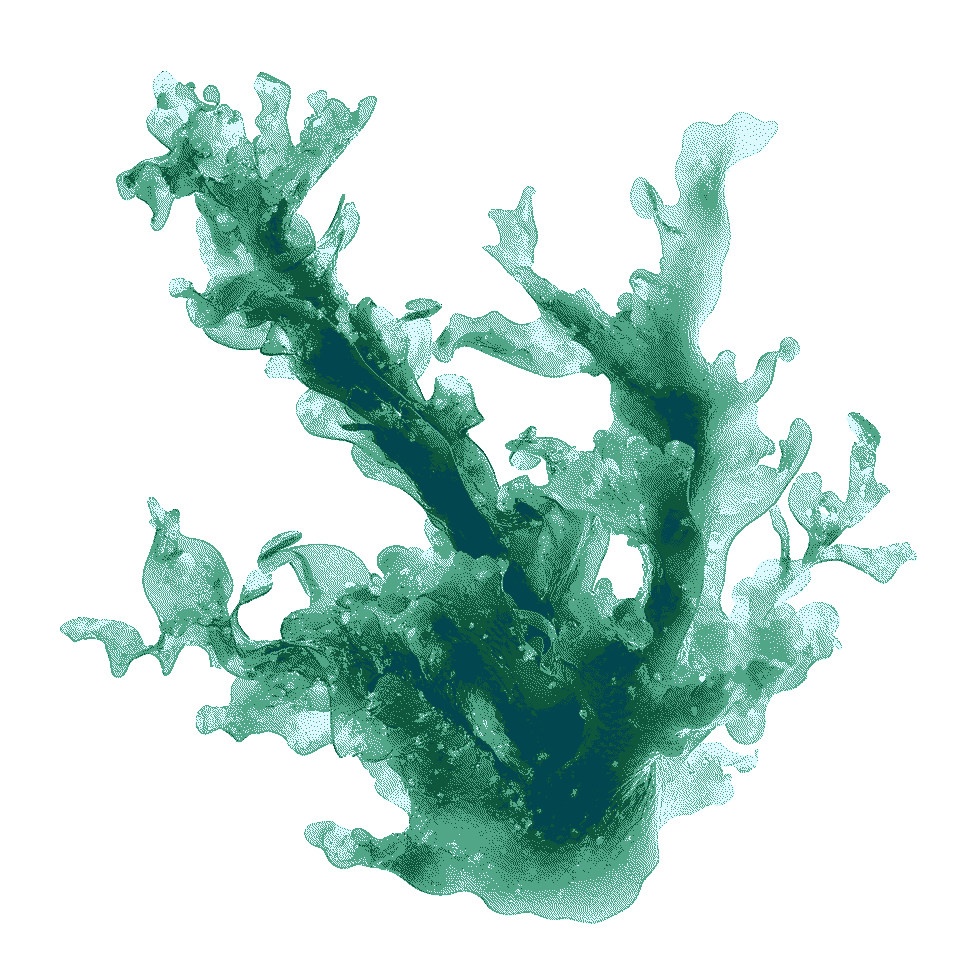 Algae
